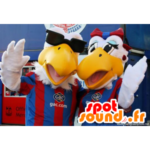 2 maskotar av fåglar, måsar i sportkläder - Spotsound maskot