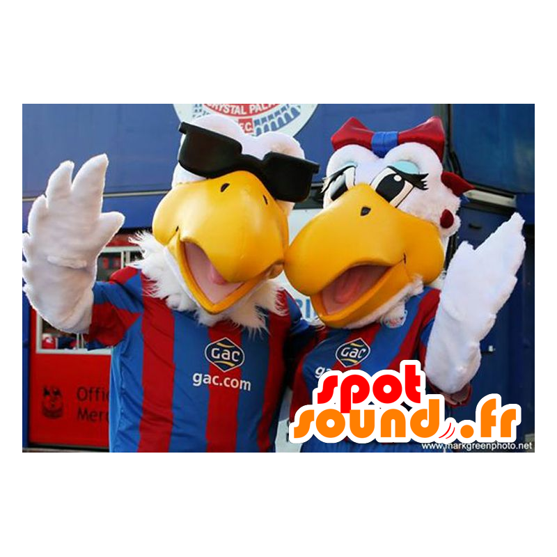 2 mascotas de aves, deportes llevan a cabo en las gaviotas - MASFR22492 - Mascota de aves 2 mascotas de aves, deportes llevan a cabo en las gaviotas - MASFR22492 - Mascota de aves