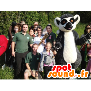 Mascot lemur grau, schwarz und weiß, sehr süß und niedlich - MASFR22524 - Tiere des Waldes