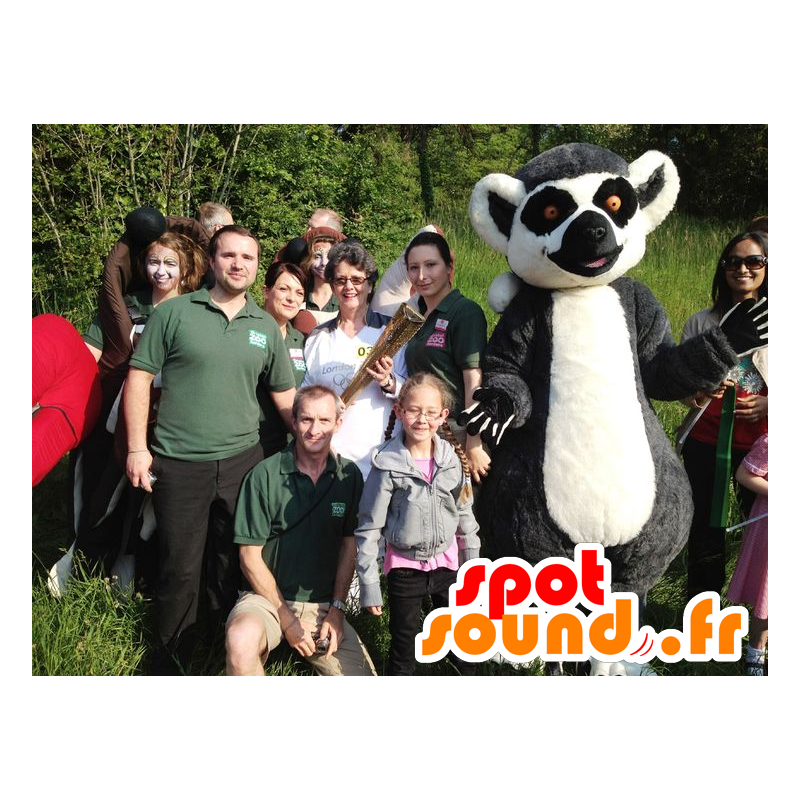 Mascot lemur grau, schwarz und weiß, sehr süß und niedlich - MASFR22524 - Tiere des Waldes Mascot lemur grau, schwarz und weiß, sehr süß und niedlich - MASFR22524 - Tiere des Waldes