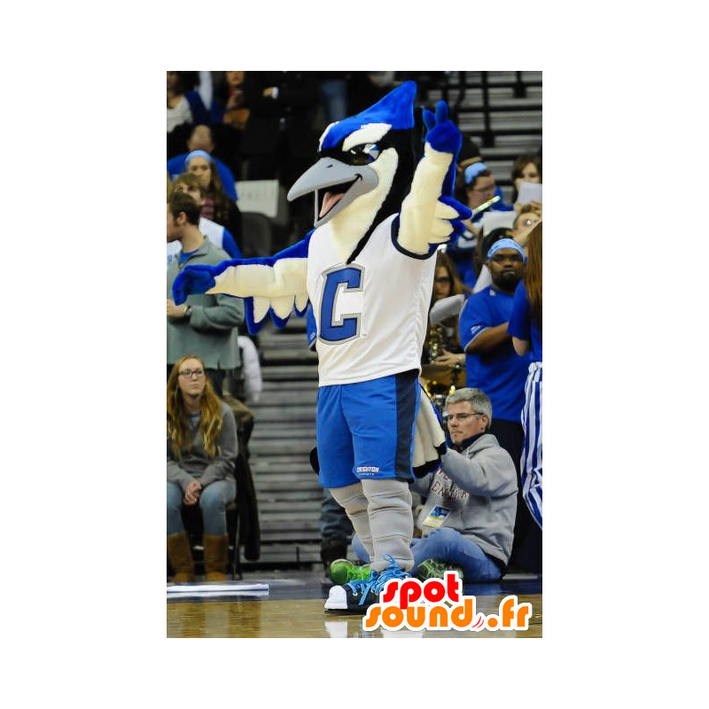 Mascot large bird, blue, white and black, blue jay - MASFR22527 - Mascot of birds