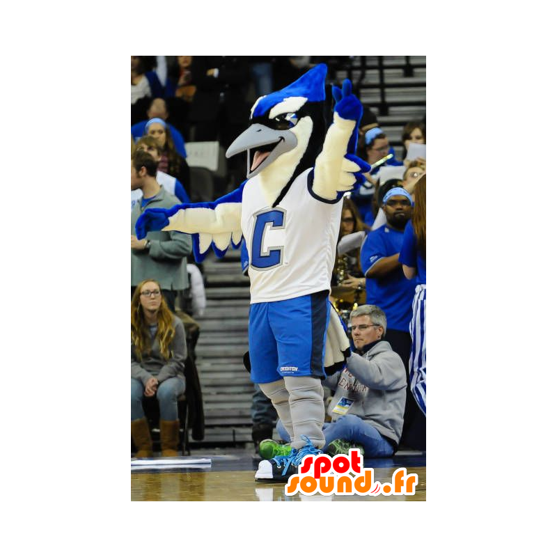 Mascot stor fugl, blå, hvit og svart, blå jay - MASFR22527 - Mascot fugler