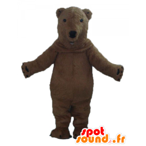 Mascotte d'ours brun, très beau et réaliste - MASFR22602 - Mascotte d'ours