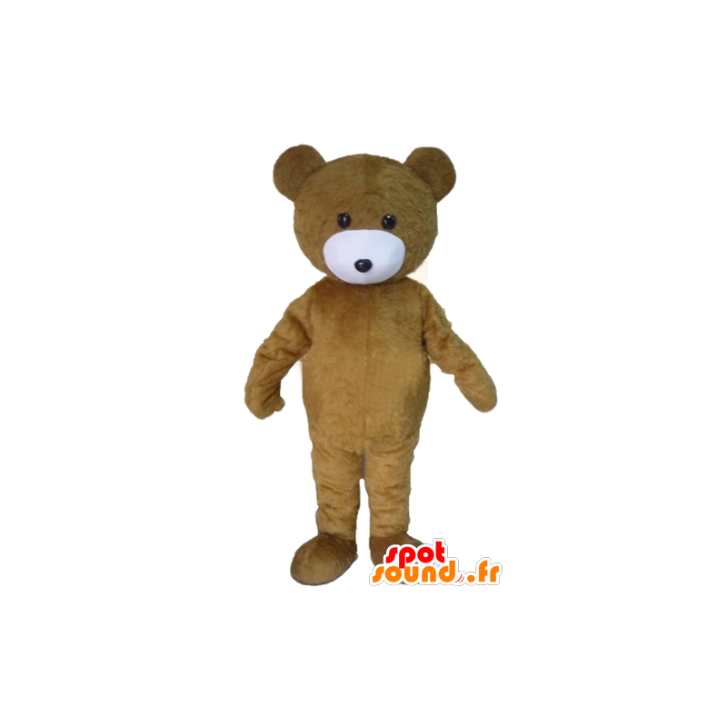 Mascot brown bears, brown and white teddy - MASFR22608 - Bear mascot