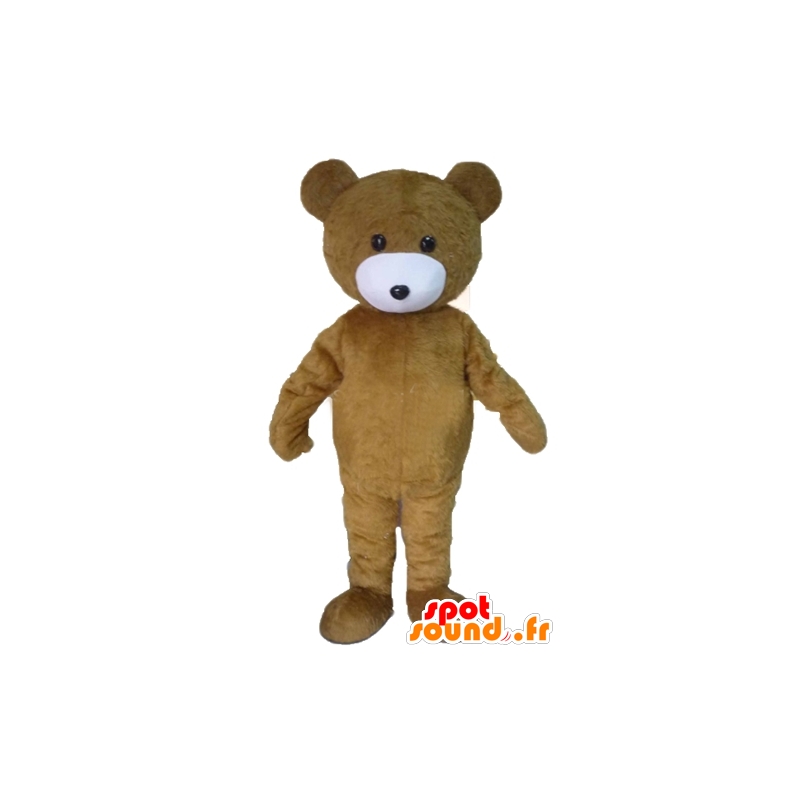 Maskot medvěd hnědý, brown and white teddy - MASFR22608 - Bear Mascot