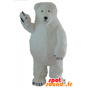 Polar Bear Mascot, polar bears, big and hairy - MASFR22642 - Bear mascot