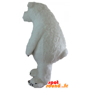 Mascotte dell'orso polare, orsi polari, grande e peloso - MASFR22642 - Mascotte orso