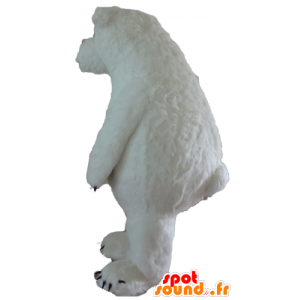 Polar Bear Mascot, polar bears, big and hairy - MASFR22642 - Bear mascot