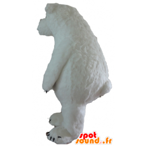 Mascotte d'ours blanc, d'ours polaire, gros et poilu - MASFR22642 - Mascotte d'ours