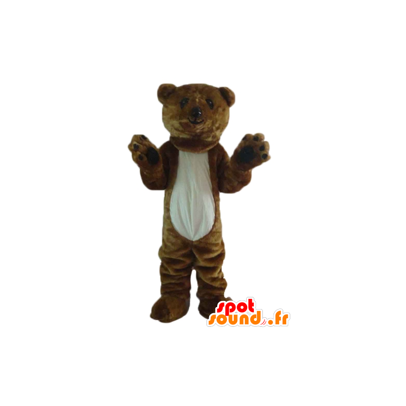 Μασκότ καφέ και λευκό αρκούδα, γίγαντας, μαλακό και τριχωτό - MASFR22646 - Αρκούδα μασκότ
