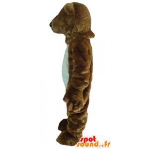 Mascot brown and polar bears, giant, soft and hairy - MASFR22646 - Bear mascot