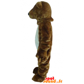 Mascot brown and polar bears, giant, soft and hairy - MASFR22646 - Bear mascot