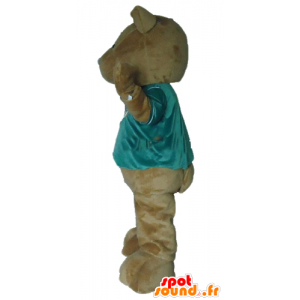Mascotte brauner Teddybär mit einem grünen T-Shirt - MASFR22660 - Bär Maskottchen