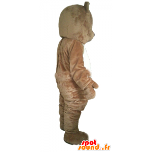 Mascot brown and white teddy bear, rodent - MASFR22661 - Bear mascot