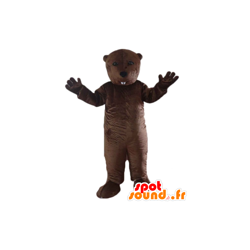 Groundhog maskot, brun bæver, gnaver - Spotsound maskot kostume