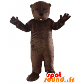 Groundhog maskot, brun bäver, gnagare - Spotsound maskot