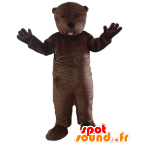 Mascot marmot, bruine bever, knaagdier - MASFR22667 - Beaver Mascot