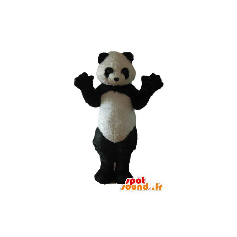 Mascot preto e panda branco, todo peludo - MASFR22680 - pandas mascote