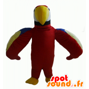 Maskot söt papegoja röd, grön, blå och gul - Spotsound maskot