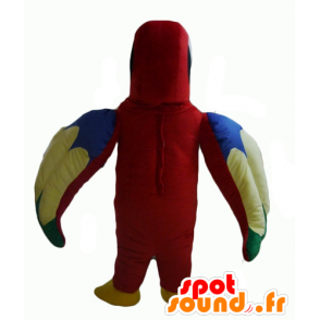 Pappagallo mascotte piuttosto rosso, verde, blu e giallo - MASFR22699 - Mascotte di pappagalli