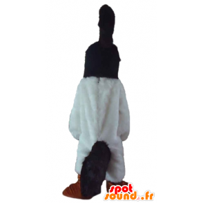 Mascote do pássaro preto e branco com uma crista na cabeça - MASFR22725 - aves mascote