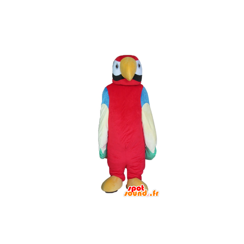 Gigante multicolor loro mascota - MASFR22738 - Mascotas de loros