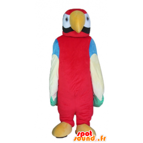 Gigante multicolor loro mascota - MASFR22738 - Mascotas de loros