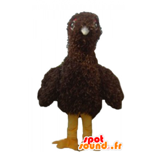 Ave como mascota, polluelo marrón y amarillo, toda peluda - MASFR22742 - Mascota de aves