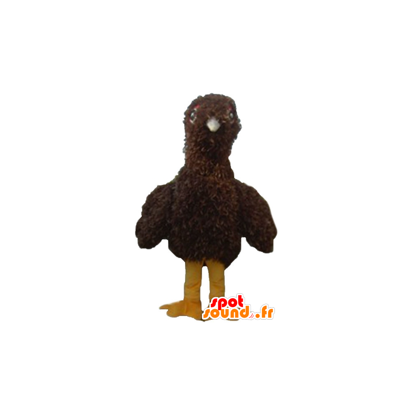 Mascot pássaro, pintainho marrom e amarelo, todo peludo - MASFR22742 - aves mascote