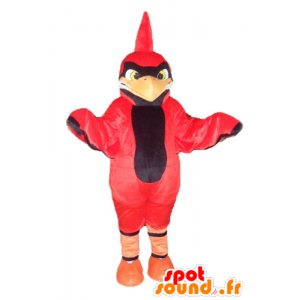 Mascot red and black bird...