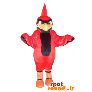 Mascotte d'oiseau rouge et...