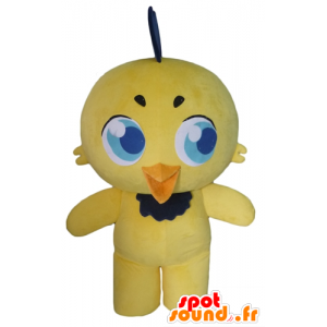 Maskot gul og sort kylling, kanariefugl, gul fugl - Spotsound