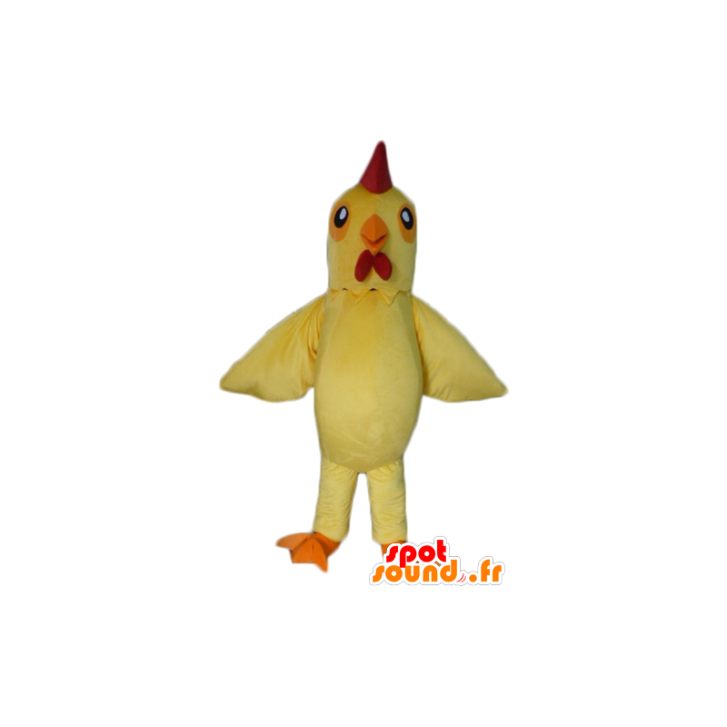 ženy dávající orální sex