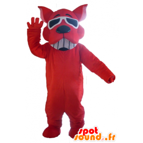 Mascotte de chien rouge, souriant, avec des lunettes de soleil - MASFR22821 - Mascottes de chien