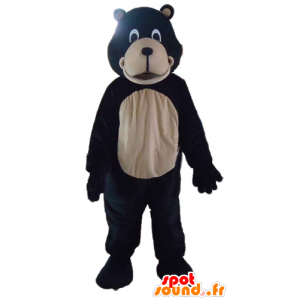 Mascot giant black and beige bears - MASFR22822 - Bear mascot