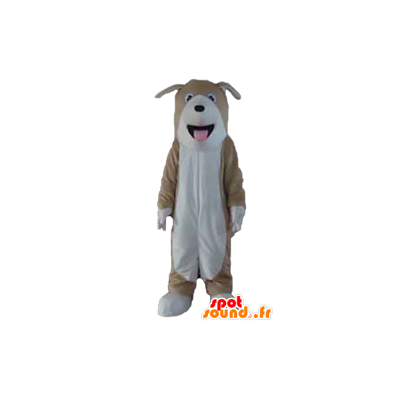 Cão tricolor mascote, marrom, branco e preto - MASFR22824 - Mascotes cão