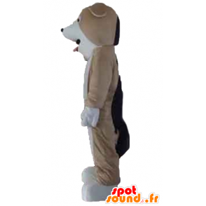 Mascotte de chien tricolore, marron, blanc et noir - MASFR22824 - Mascottes de chien