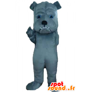 Mascotte de chien gris, à l'air farouche - MASFR22825 - Mascottes de chien