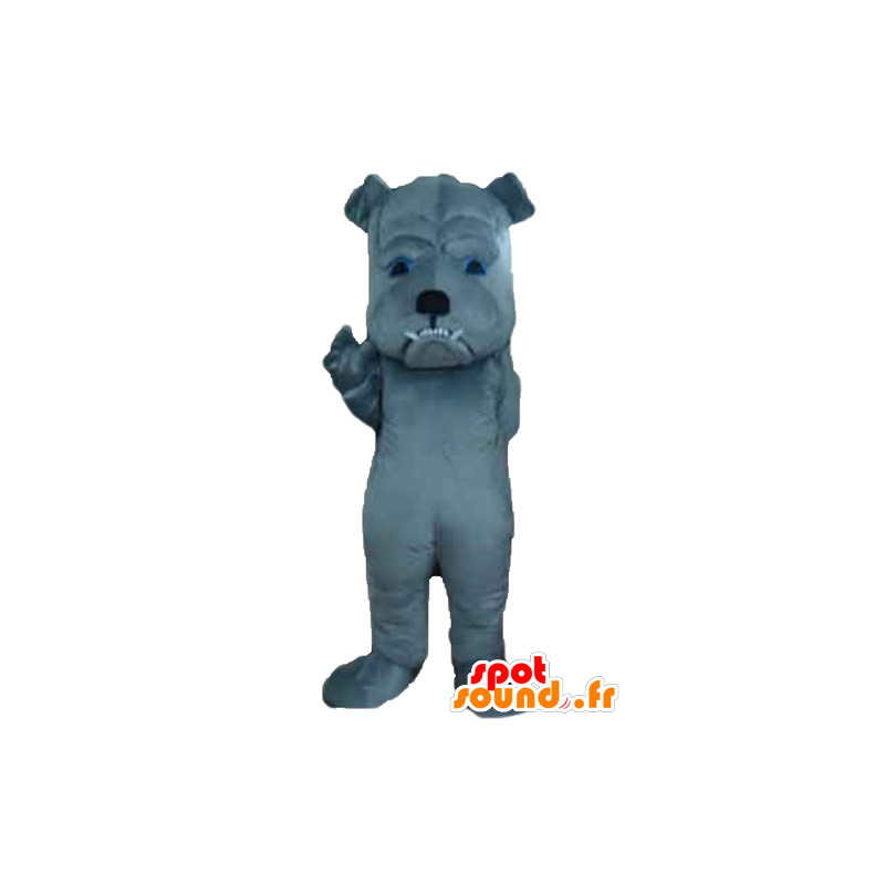 Grau Hund Maskottchen heftig zu schauen - MASFR22825 - Hund-Maskottchen