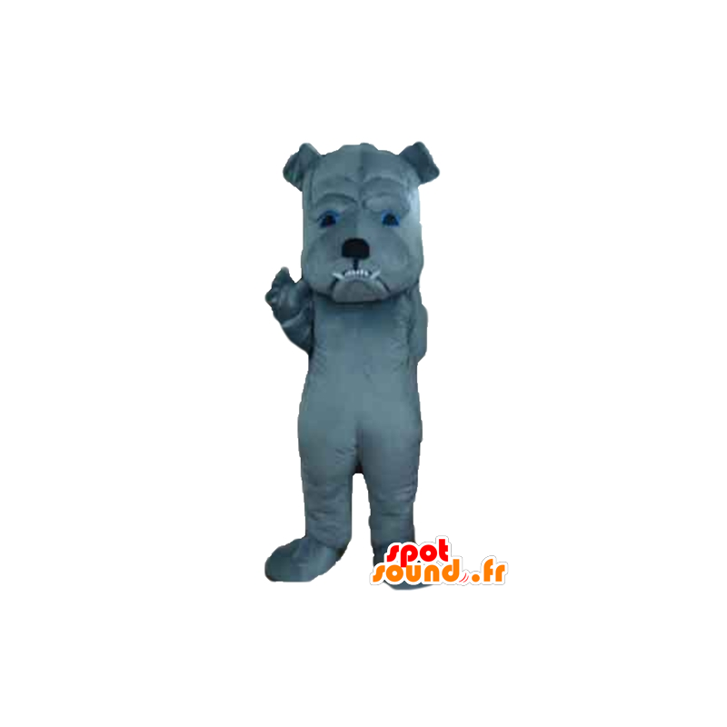 Mascotte de chien gris, à l'air farouche - MASFR22825 - Mascottes de chien