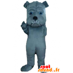 Grijze hond mascotte tot felle kijken - MASFR22825 - Dog Mascottes