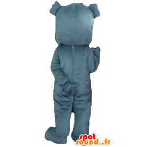 Mascota perro gris mirar fiero - MASFR22825 - Mascotas perro