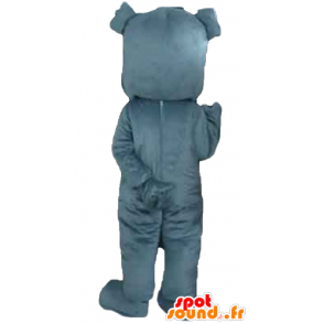 Mascota perro gris mirar fiero - MASFR22825 - Mascotas perro