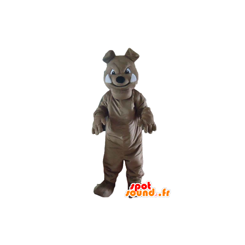 Gray dog ​​mascot, bulldog, fierce-looking - MASFR22829 - Dog mascots