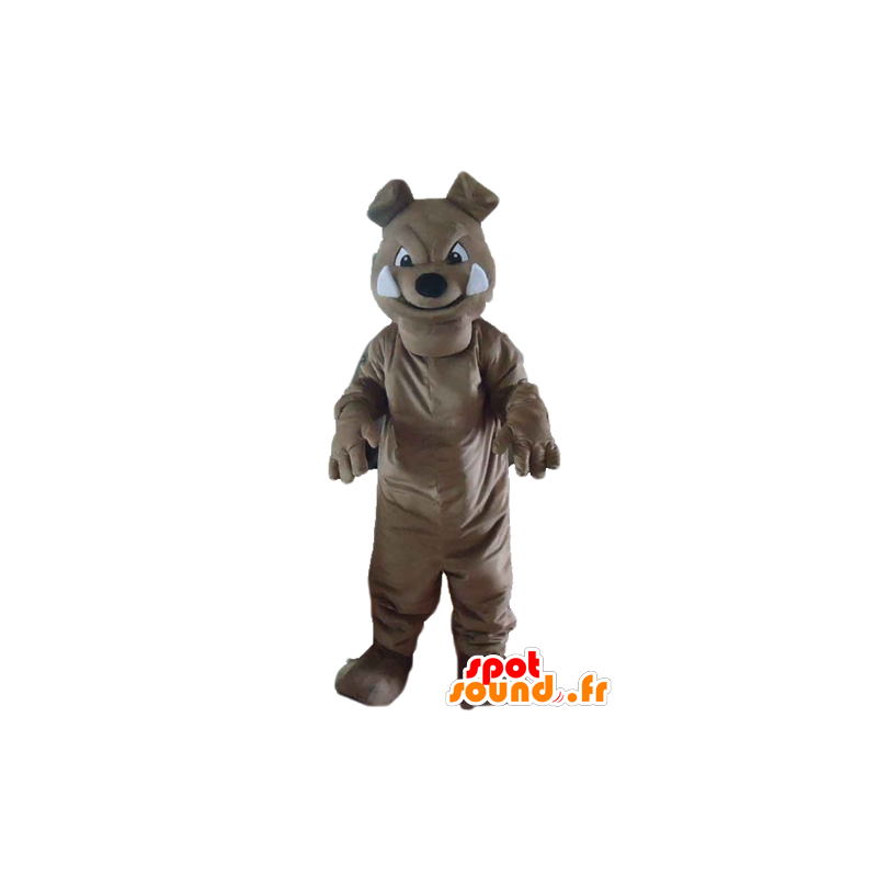 Mascote cão cinzento, buldogue, de aspecto feroz - MASFR22829 - Mascotes cão