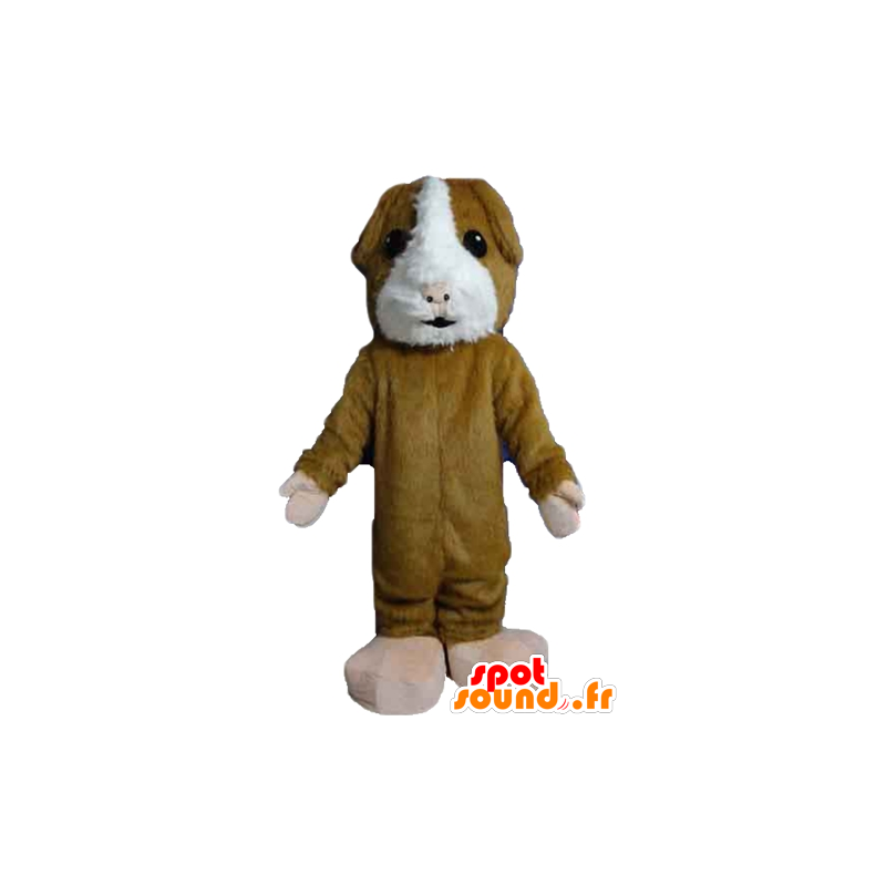 Brown and white hamster mascot, soft and hairy - MASFR22830 - Pets pets