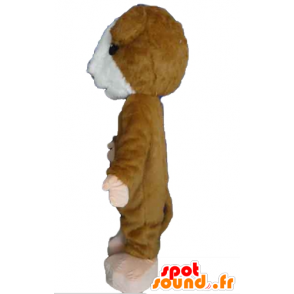 Brown and white hamster mascot, soft and hairy - MASFR22830 - Pets pets