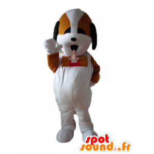 Mascotte de Saint-Bernard, chien sauveteur tricolore - MASFR22839 - Mascottes de chien