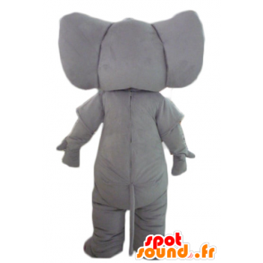 Maskotti harmaa elefantti, täysin muokattavissa - MASFR22899 - Elephant Mascot