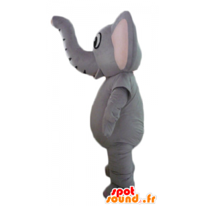 Mascotte elefante grigio, completamente personalizzabile - MASFR22899 - Mascotte elefante